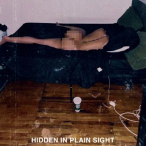 Hidden In Plain Sight album cover