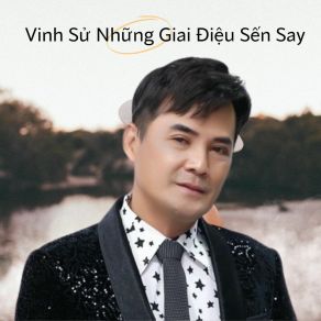 Vinh Sử Những Giai Điệu Sến Say album cover