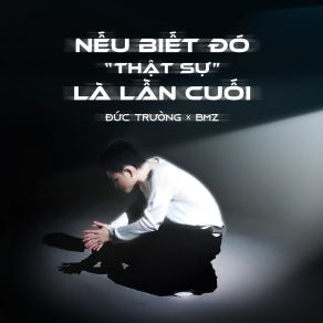 Nếu Biết Đó " Thật Sự " Là Lần Cuối album cover