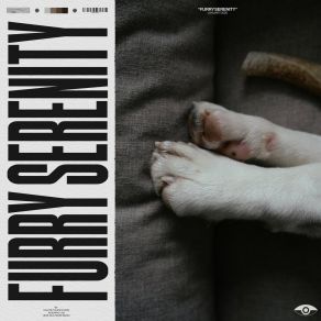 Furry Serenity album cover