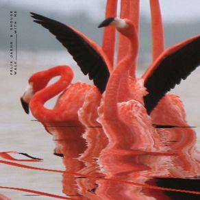 Walk With Me album cover