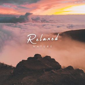 Relaxed Nature album cover