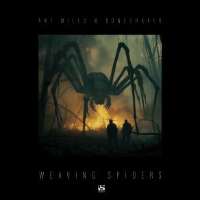 Weaving Spiders album cover