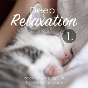 Deep Relaxation: Relaxing Sleeping Cat Purring Soundscape album cover