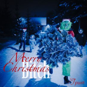 Merry Christmas Bitch / Grinc album cover