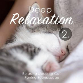 Deep Relaxation: Relaxing Sleeping Cat Purring Soundscape 2 album cover