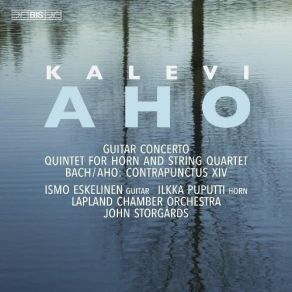 Aho - Guitar Concerto; Quintet For Horn And String Quartet - John Storgårds album cover