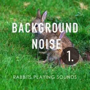 Background Noise: Rabbits Playing Sounds album cover