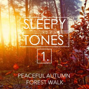 Sleepy Tones: Peaceful Autumn Forest Walk album cover