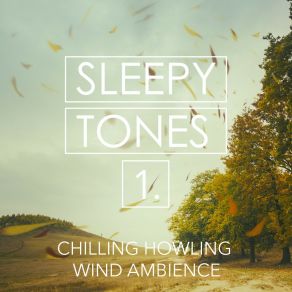 Sleepy Tones: Chilling Howling Wind Ambience album cover