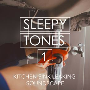 Sleepy Tones: Kitchen Sink Leaking Soundscape album cover