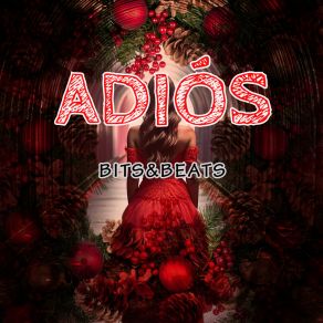 Adios album cover