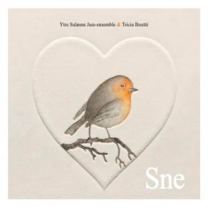 Sne album cover