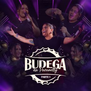 Budega Da Pavanelly, Pt. 1 (Ao Vivo) album cover