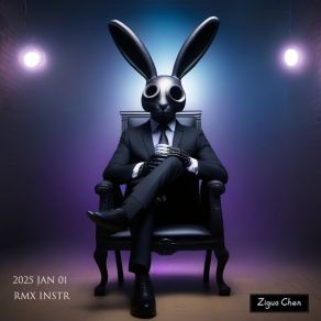 2025 Jan 01 Rmx Instr album cover