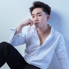Nhạc Trữ Tình Hay Nhất album cover