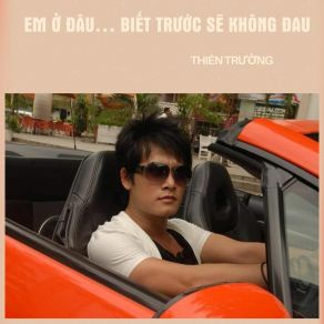 Em Ở Đâu... Biết Trước Sẽ Không Đau album cover