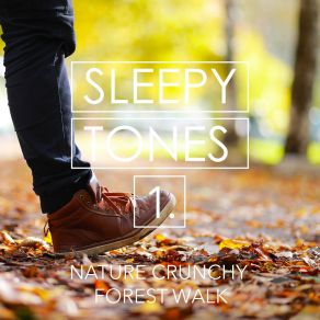 Sleepy Tones: Nature Crunchy Forest Walk album cover