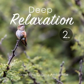 Deep Relaxation: Forest Bird Singing Ambience 2 album cover