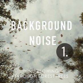 Background Noise: Wind Blowing Through Forest Trees album cover