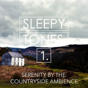 Sleepy Tones: Serenity By The Countryside Ambience album cover