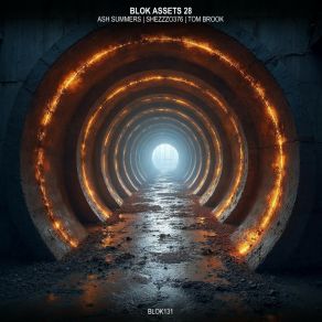 BLOK ASSETS 28 (Original Mix) album cover