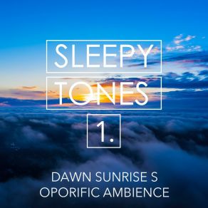 Sleepy Tones: Dawn Sunrise Soporific Ambience album cover