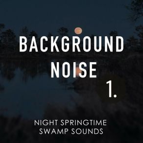 Background Noise: Night Springtime Swamp Sounds album cover