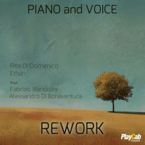 Piano And Voice Rework album cover