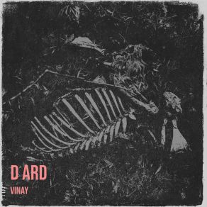D Ard album cover