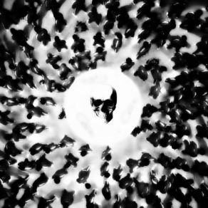 ROUND AND ROUND FUNK album cover