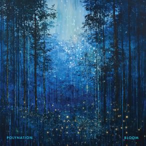 Bloom album cover
