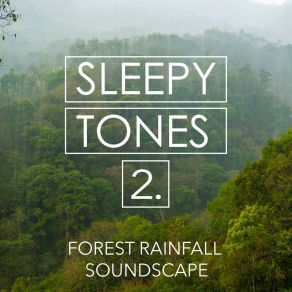 Sleepy Tones: Forest Rainfall Soundscape 2 album cover