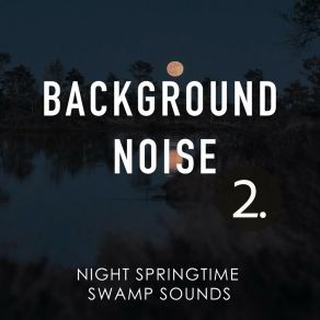 Background Noise: Night Springtime Swamp Sounds 2 album cover