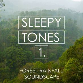 Sleepy Tones: Forest Rainfall Soundscape album cover