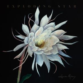 Exploding Star album cover