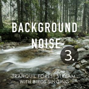 Background Noise: Tranquil Forest Stream With Birds Singing 3 album cover