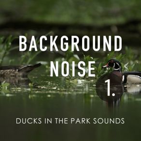 Background Noise: Ducks In The Park Sounds album cover
