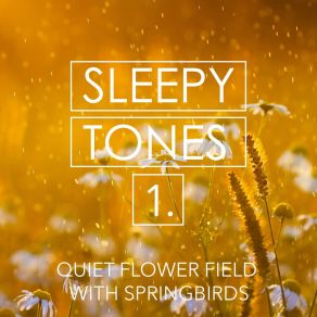 Sleepy Tones: Quiet Flower Field With Springbirds album cover