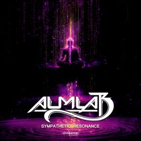 Sympathetic Resonance album cover