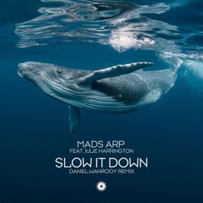 Slow It Down (Daniel Wanrooy Remix) (Maxi-Single) album cover