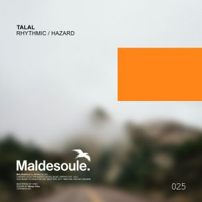 Rhythmic / Hazard album cover