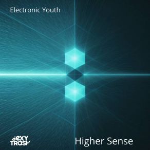 Higher Sense album cover