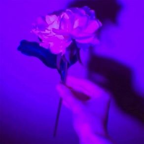 Lotus album cover