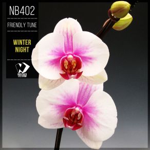 Winter Night (Original Mix) album cover