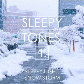 Sleepy Tones: Sleepy Light Snow Storm album cover