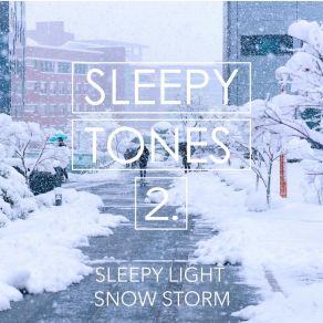 Sleepy Tones: Sleepy Light Snow Storm 2 album cover