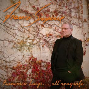 Francesco Luigi... All'anagrafe album cover