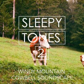 Sleepy Tones: Windy Mountain Cowbell Soundscape 2 album cover
