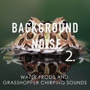 Background Noise: Water Frogs And Grasshopper Chirping Sounds 2 album cover